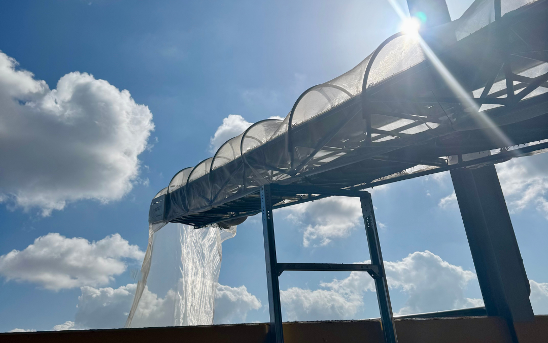 El momento más esperado del año llega a Almazara Óleo Jarico: La campaña