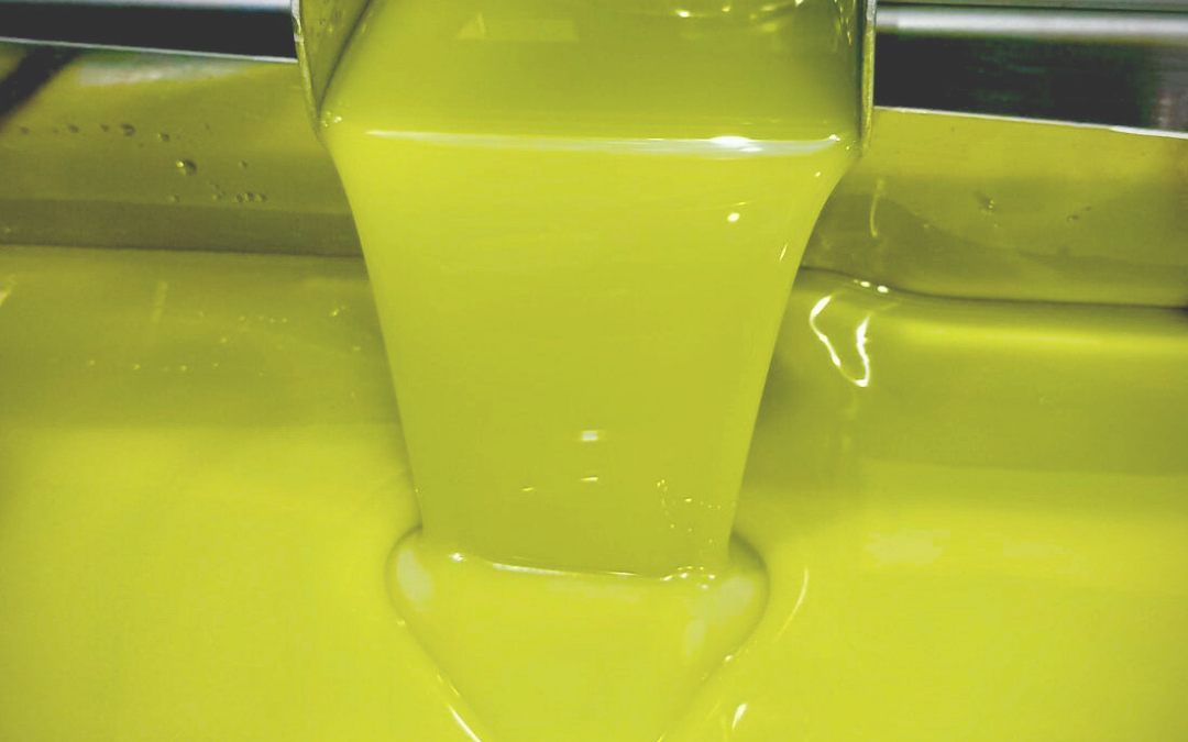 Llega el primer chorro del aceite de oliva virgen extra de la nueva campaña