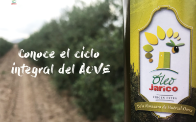 Conoce el ciclo integral del AOVE Óleo Jarico