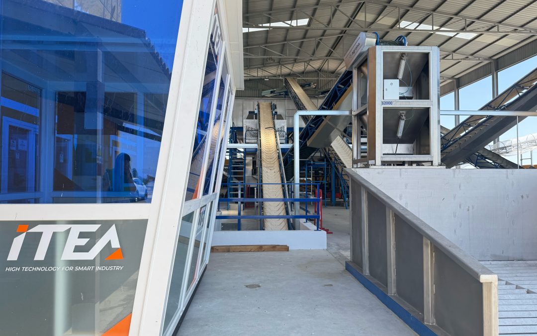 Óleo Jarico amplía el área de recepción de oliva de la Almazara